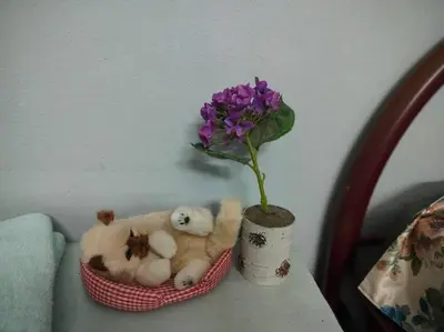 a vase with two teddy bears and a purple flower at Kitty Home Near to Penang Hill in Ayer Itam