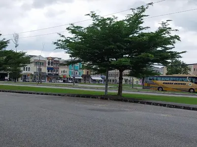 a yellow bus parked next to a tree on a street at CY Homestay in Kampar