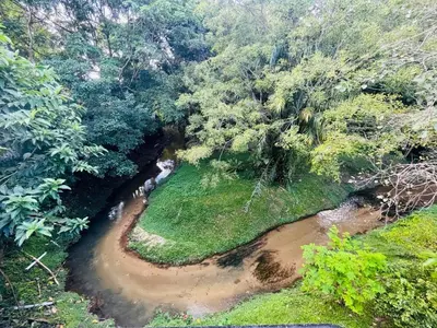 an aerial view of a river in a forest at Nature Surrounded Riverside Villa with BBQ ,& SWIMMING POOL in George Town
