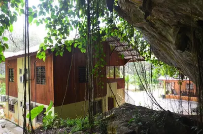 a building with a tree in front of it at Country house Pulai Holiday Village in Gua Musang