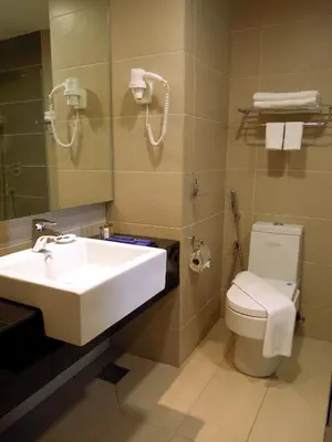 a bathroom with a sink and a toilet at Hotel Excelsior Ipoh in Ipoh