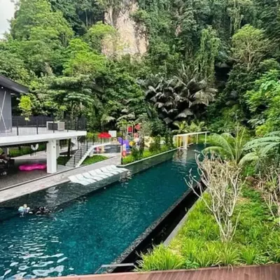 The Cove