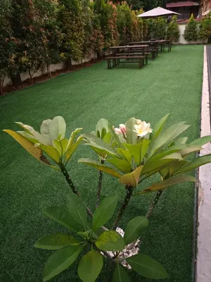 a green lawn with a picnic table and a plant at UniVilla- Ideal Family Home for 18pax in Gelugor