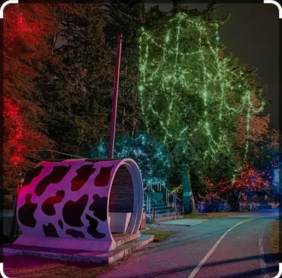 a purple object with a cheetah pattern on a street at Hillside cottage tanah rata in Tanah Rata