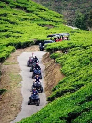 a group of people riding motorcycles down a road at Hillside cottage chalet studio in Tanah Rata