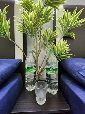 two bottles of water on a table with a plant at Sun Shine Home by Ipoh Maju Stay in Ipoh