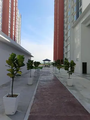 a row of potted trees in white pots in a courtyard at Ipoh Town Anderson Haru Suite 7 paxs 2R2B in Ipoh