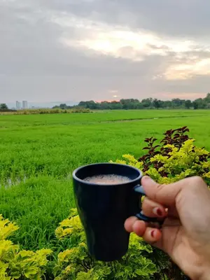 a person holding a cup of coffee in a field at Paddy Villea with 5 Bedrooms Penang in Permatang Pauh