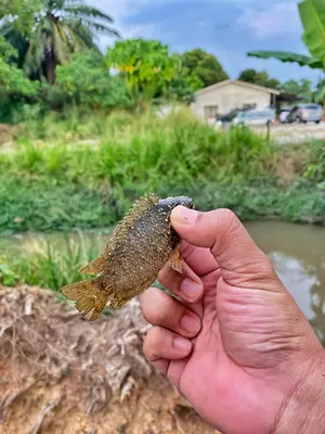 a person holding a fish in their hand at Paddy Villea with 5 Bedrooms Penang in Permatang Pauh