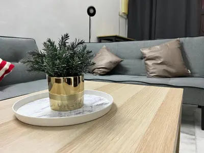 a potted plant sitting on top of a table at Near 7ELEVE KFC 10pax 3BR Hutan Melintang by willz in Hutan Melintang