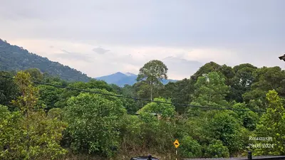a view of a forest with mountains in the background at Ruzarani Home Meru Suria in Chemor