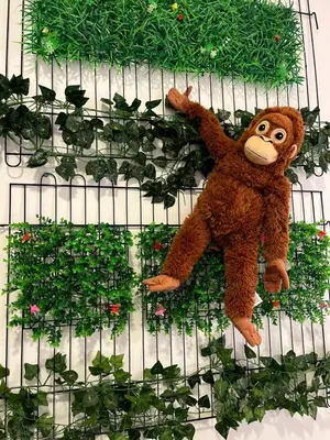 a stuffed teddy bear laying on a bunch of plants at Aloft Cameron Highlands C in Brinchang