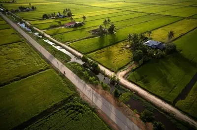 an aerial view of a field with a bridge and a road at Sekinchan Fragrance \u82ac\u82b3\u6c11\u5bbf in Sekincan