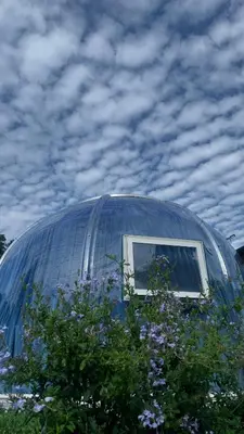 a glass dome with a window on top of a tree at The Starry Dome Couple Room in Cameron Highlands