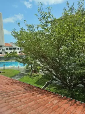 a tree sitting on top of a roof next to a pool at 5 Lot 10 Pangkor Leisure Beach Studio in Pangkor