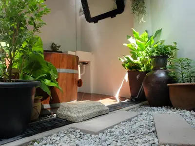 a room with a bunch of potted plants on the floor at The Gaslight Heritage Residence - NEW in George Town