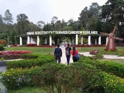 three people walking in front of a garden with a windmill at Hillside cottage tulip room with loteng in Tanah Rata