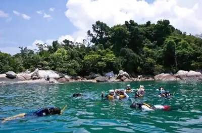 a group of people swimming in the water at De Clinique Hotel in Pangkor