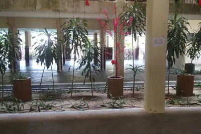 a group of potted plants in a building at Bayu Emas Batu Ferringhi Penang in Batu Ferringhi