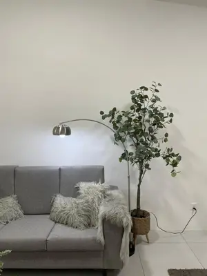 a living room with a couch and a potted tree at The Imans Place in Kepala Batas