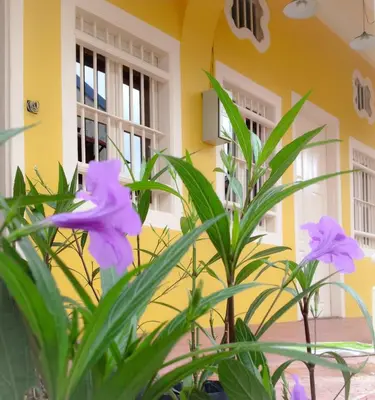 a plant with purple flowers in front of a building at Sweet Cili Boutique Hotel in George Town