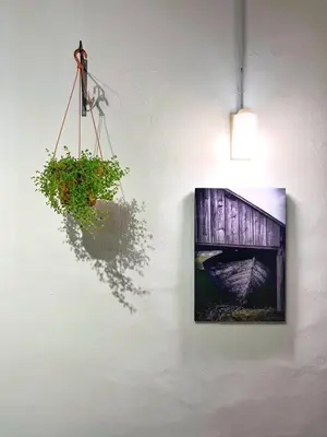 a picture hanging on a wall with a plant at Pine Armenian in George Town