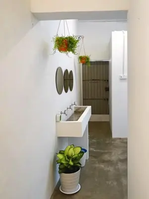 a bathroom with a sink and a potted plant at Pine Armenian in George Town
