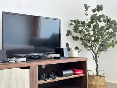 a flat screen tv on a wooden stand with a plant at Mansion One at Gurney Drive Georgetown by 3C in George Town