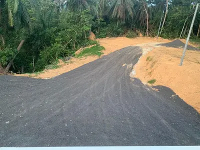 an empty road in the middle of a forest at Farhani Cabin Stay in Kampong Batu Lima