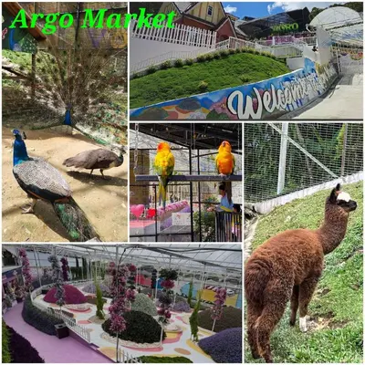 a collage of pictures of animals in a zoo at Keafarm Highland Breeze in Brinchang