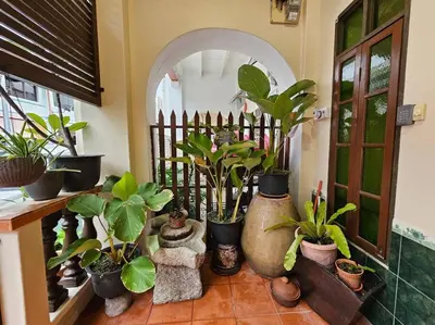 a bunch of potted plants in a room with a fence at HOME Penang in George Town