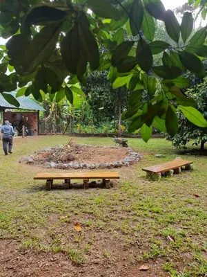 two benches sitting in a park under a tree at Zue Rra Hidden Retreat in Kampong Kuala Chegar