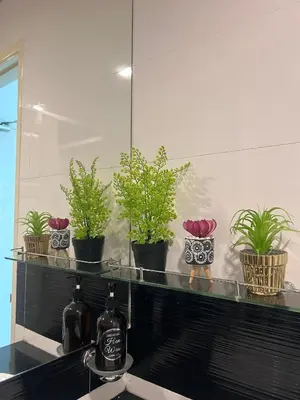 a shelf with potted plants on top of a counter at City View & Sea View Mansion One Gleneagles Gurney Komtar George Town by Cozy Cottage Haven in George Town