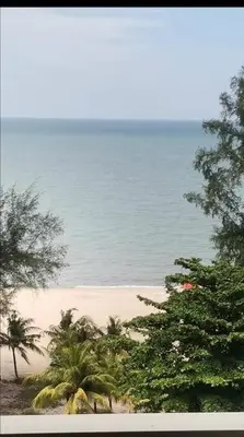 a view of a beach with trees and the ocean at By The Sea Beach Front Sea view Apartment 3 in Batu Ferringhi