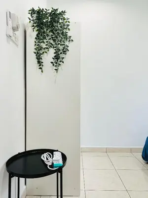 a black table and a potted plant on a wall at BM\u5927\u5c71\u811a Alma Single Storey Semi-D 5-minute To Aeon Mall in Bukit Mertajam