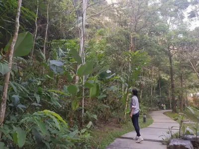 a woman walking down a path in the woods at Magnificent Mountain & Lake Views' Suite Cycas in Kampong Batu Lapan