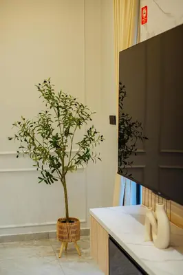 a tree sitting on a table next to a tv at Ipoh Modern Luxury House 4B3B 14 pax in Kampong Baharu Ampang