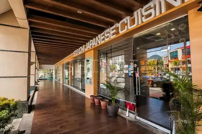a store front with potted plants outside of it at 118 Island Plaza Penang in Tanjong Tokong