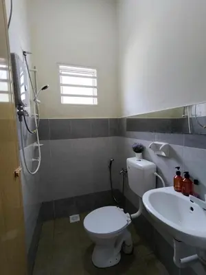 a bathroom with a toilet and a sink at Doleena's Homestay in Sitiawan