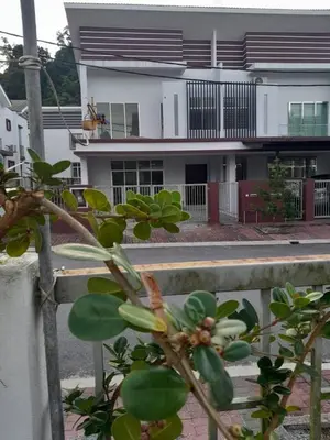a building with a tree in front of it at SimpleHome in Tupai