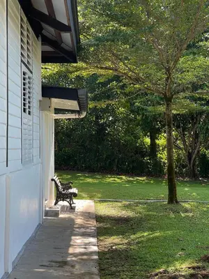 a bench sitting outside of a house with a tree at The Petrichor in Tupai