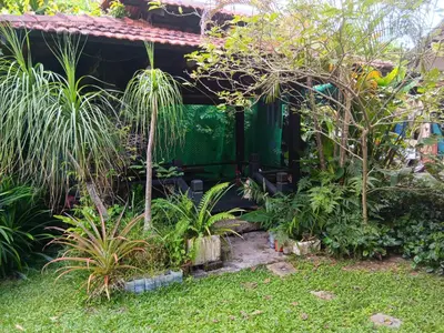 a garden in front of a house with plants at Will Ma in Ayer Itam