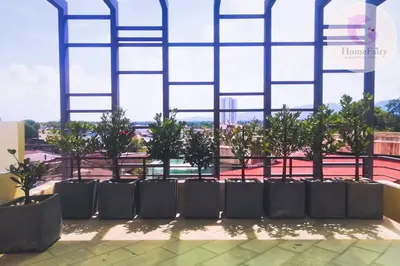 a row of trees in front of a large window at The Majestic Condo Ipoh Home Fairy 3 in Ipoh