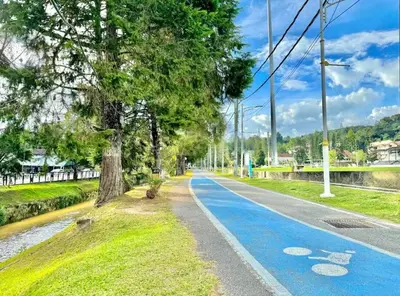 a road with a tree on the side of the road at Hello Kitty HomeStay - Cameron Highlands - Spacious Studio - Perfect for Families - Sleeps 4 and Baby in Tanah Rata