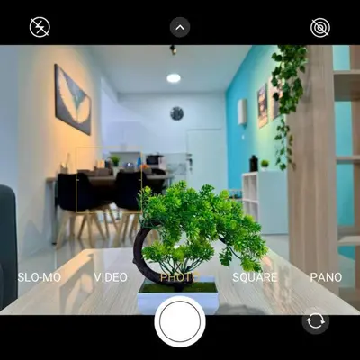 a bonsai plant sitting on a table in a living room at Ipoh Midtown Anderson Suite 2R2B in Ipoh