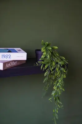 a plant sitting on a shelf next to a book at Anderson Mountain View by Xuites-6 Pax-Free Netflix-6 mins to Concubine Lane in Ipoh