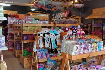a store filled with lots of stuffed animals on display at Arcadia Homes 3A The Quintet, Cameron Highlands in Tanah Rata