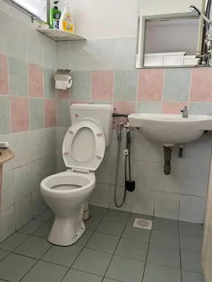 a bathroom with a toilet and a sink at Station 18 Homestay 3R3B in Ipoh