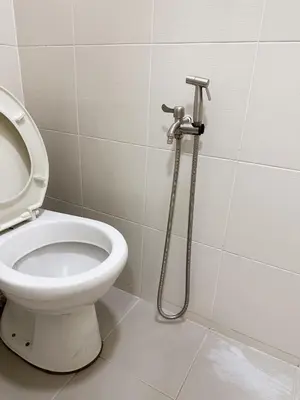 a bathroom with a toilet and a shower at TuR15 SPlCE 10pax 4room Private House in Bayan Lepas