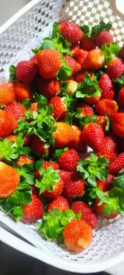 a white plate filled with strawberries on a table at Ereens homestay 3 bedroom apartment in Brinchang